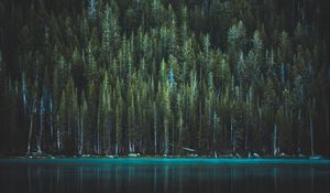 Превью обои деревья, озеро, теная, йосемитский национальный парк, сша