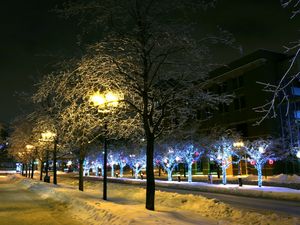 Превью обои деревья, парк, зима, украшение, декор, улица, ночь, город