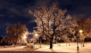 Превью обои деревья, парк, зима, ночь, иней, знаки, фонари