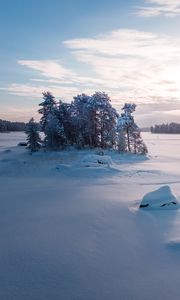 Превью обои деревья, пейзаж, заснеженный, зима, поляна