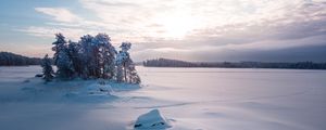 Превью обои деревья, пейзаж, заснеженный, зима, поляна