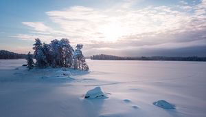 Превью обои деревья, пейзаж, заснеженный, зима, поляна