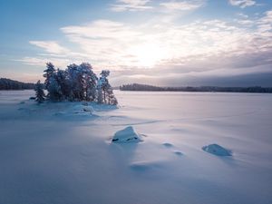 Превью обои деревья, пейзаж, заснеженный, зима, поляна