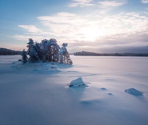 Превью обои деревья, пейзаж, заснеженный, зима, поляна