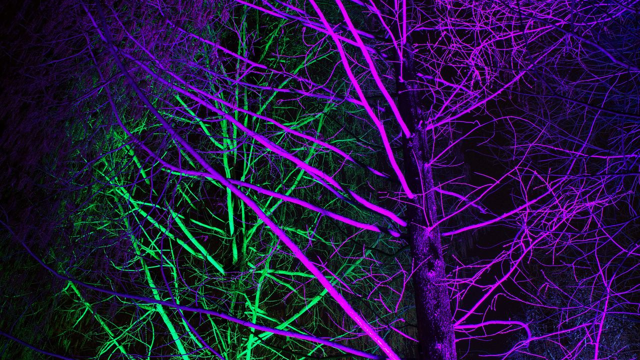 Обои деревья, подсветка, неон, фиолетовый, зеленый