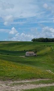 Превью обои деревья, поле, холмы, трава, облака