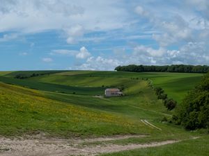 Превью обои деревья, поле, холмы, трава, облака