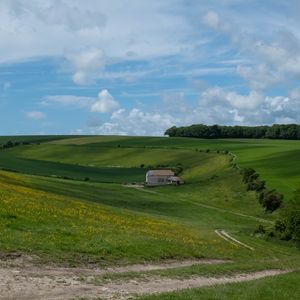 Превью обои деревья, поле, холмы, трава, облака