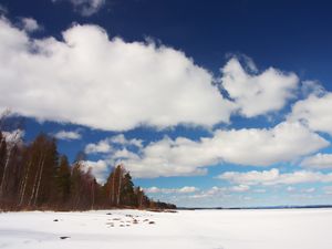 Превью обои деревья, поле, снег, облака, природа, зима