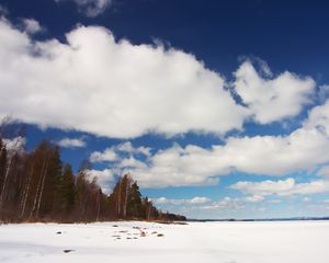 Превью обои деревья, поле, снег, облака, природа, зима