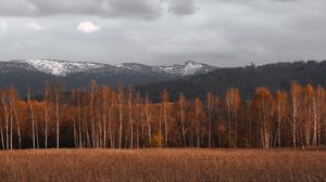 Превью обои деревья, поле, трава, горы, пейзаж