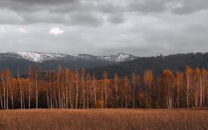 Превью обои деревья, поле, трава, горы, пейзаж