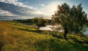 Превью обои деревья, поляна, солнце, свет, облака, озеро, берег, небо, тени, полдень