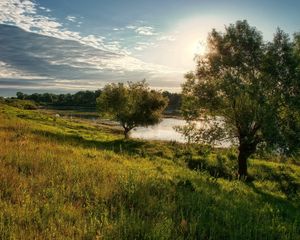 Превью обои деревья, поляна, солнце, свет, облака, озеро, берег, небо, тени, полдень