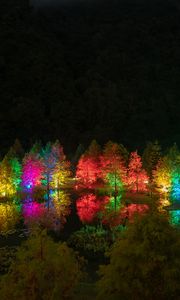 Превью обои деревья, пруд, иллюминация, подсветка, разноцветный, ночь