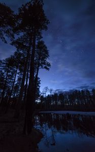 Превью обои деревья, пруд, ночь, звездное небо