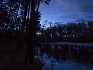 Превью обои деревья, пруд, ночь, звездное небо