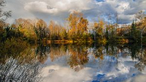 Превью обои деревья, пруд, отражение, лес, пейзаж