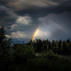 Превью обои деревья, радуга, небо, темный