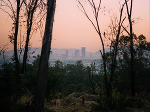 Превью обои деревья, рассвет, город, мексика