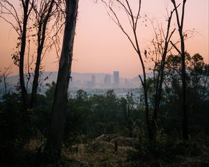 Превью обои деревья, рассвет, город, мексика