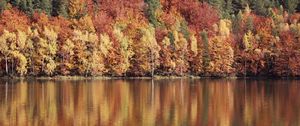 Превью обои деревья, река, отражение