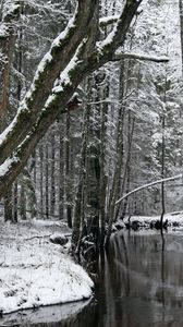 Превью обои деревья, река, снег, зима, лес