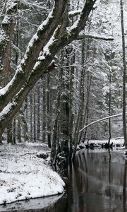 Превью обои деревья, река, снег, зима, лес