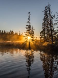 Превью обои деревья, река, туман, рассвет, природа