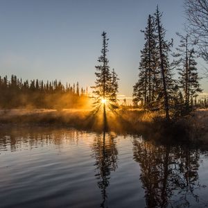 Превью обои деревья, река, туман, рассвет, природа