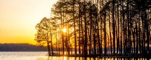 Превью обои деревья, река, закат, природа