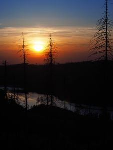 Превью обои деревья, река, закат, темный