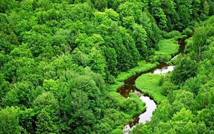Превью обои деревья, река, зелень, изгибы, лес