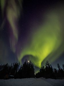 Превью обои деревья, северное сияние, луна, ночь