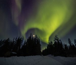 Превью обои деревья, северное сияние, луна, ночь