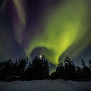 Превью обои деревья, северное сияние, луна, ночь