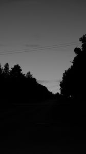 Превью обои деревья, силуэт, чб, небо