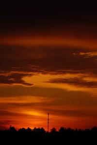 Превью обои деревья, силуэт, тени, облака, закат, темный, пейзаж