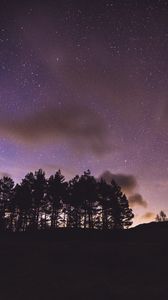 Превью обои деревья, силуэты, ночь, звездное небо, темный