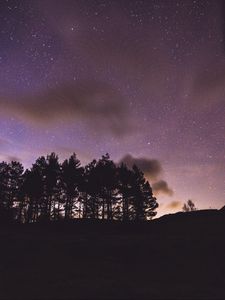 Превью обои деревья, силуэты, ночь, звездное небо, темный