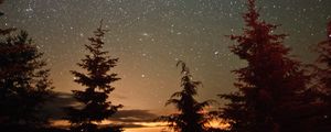 Превью обои деревья, силуэты, ночь, звездное небо, природа