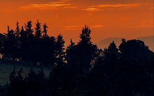 Превью обои деревья, силуэты, облака, темный, сумерки