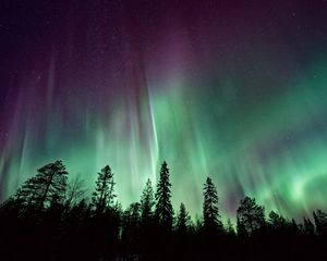 Превью обои деревья, силуэты, северное сияние, ночь