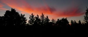 Превью обои деревья, силуэты, сумерки, облака, темный