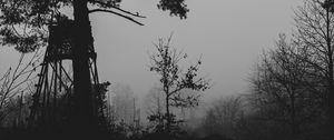 Превью обои деревья, силуэты, туман, мгла, черно-белый, темный