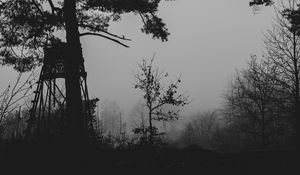 Превью обои деревья, силуэты, туман, мгла, черно-белый, темный