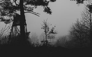 Превью обои деревья, силуэты, туман, мгла, черно-белый, темный