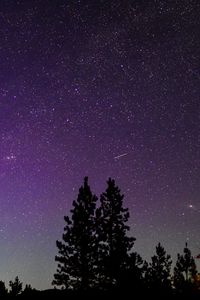 Превью обои деревья, силуэты, звездное небо, ночь, природа