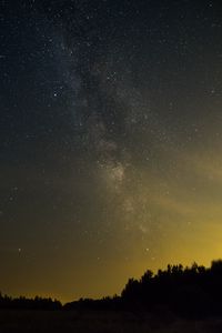 Превью обои деревья, силуэты, звезды, ночь, небо, темный