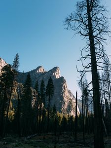 Превью обои деревья, скала, гора, природа